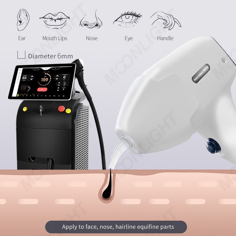 product-800-800 product-800-800